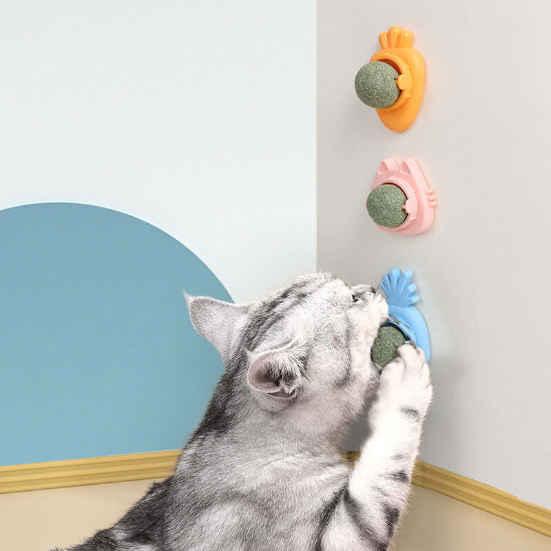 Mint Rotating Ball Happy Interactive Cat Toy - Premium 0 from HappyDogs.Company - Just $16! Shop now at HappyDogs.Company
