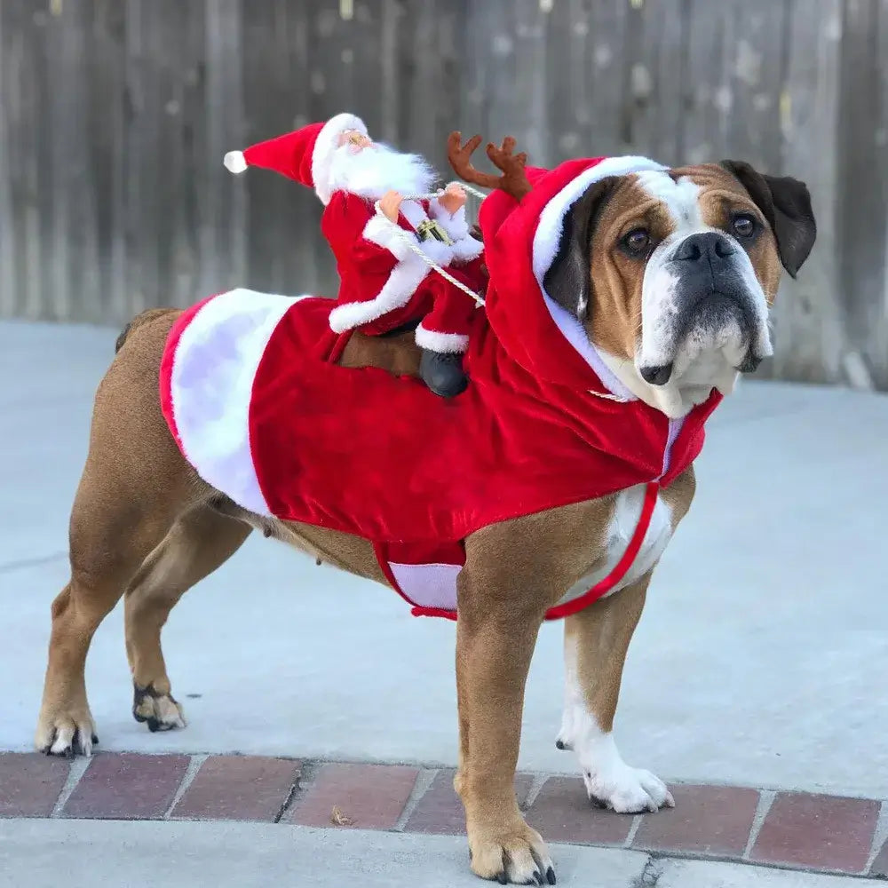 Funny Santa Claus Costume For Dogs - Premium from HappyDogs.Company - Just $22.99! Shop now at HappyDogs.Company