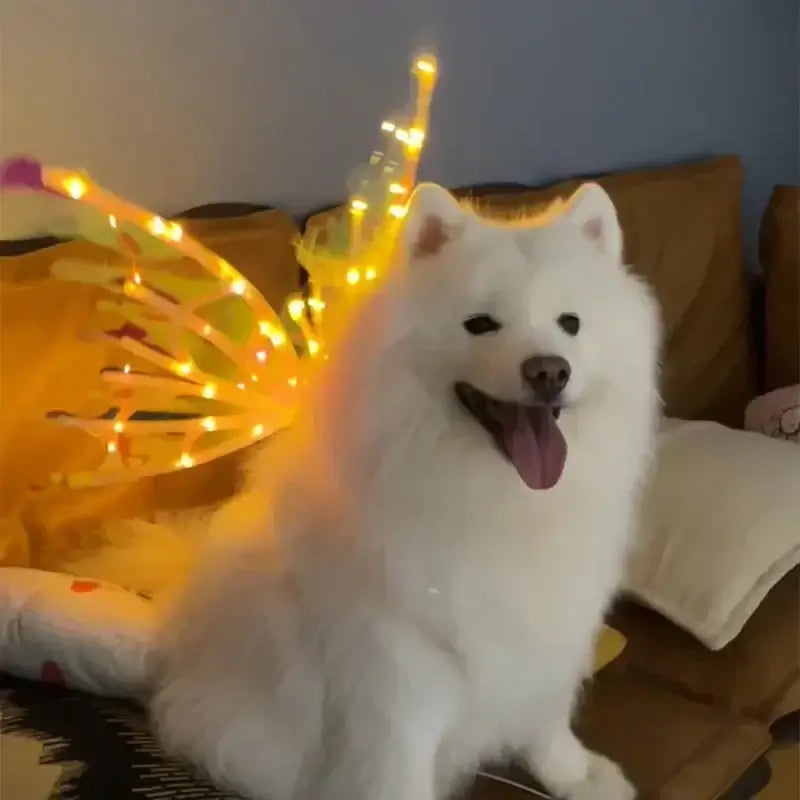 Dog Butterfly Wings Pet Glowing Wings Puppy Summer Clothes Decorative Samoyed Husky Medium Dogs - Premium from HappyDogs.Company - Just $38! Shop now at HappyDogs.Company