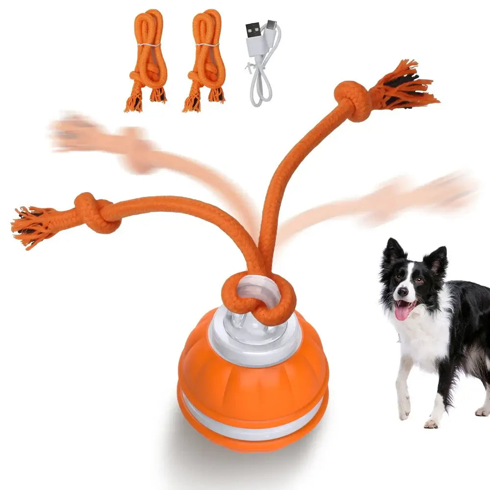 Smart Interactive Dog Toy Ball Motion Activated Automatic - Premium from HappyDogs.Company - Just $44.99! Shop now at HappyDogs.Company