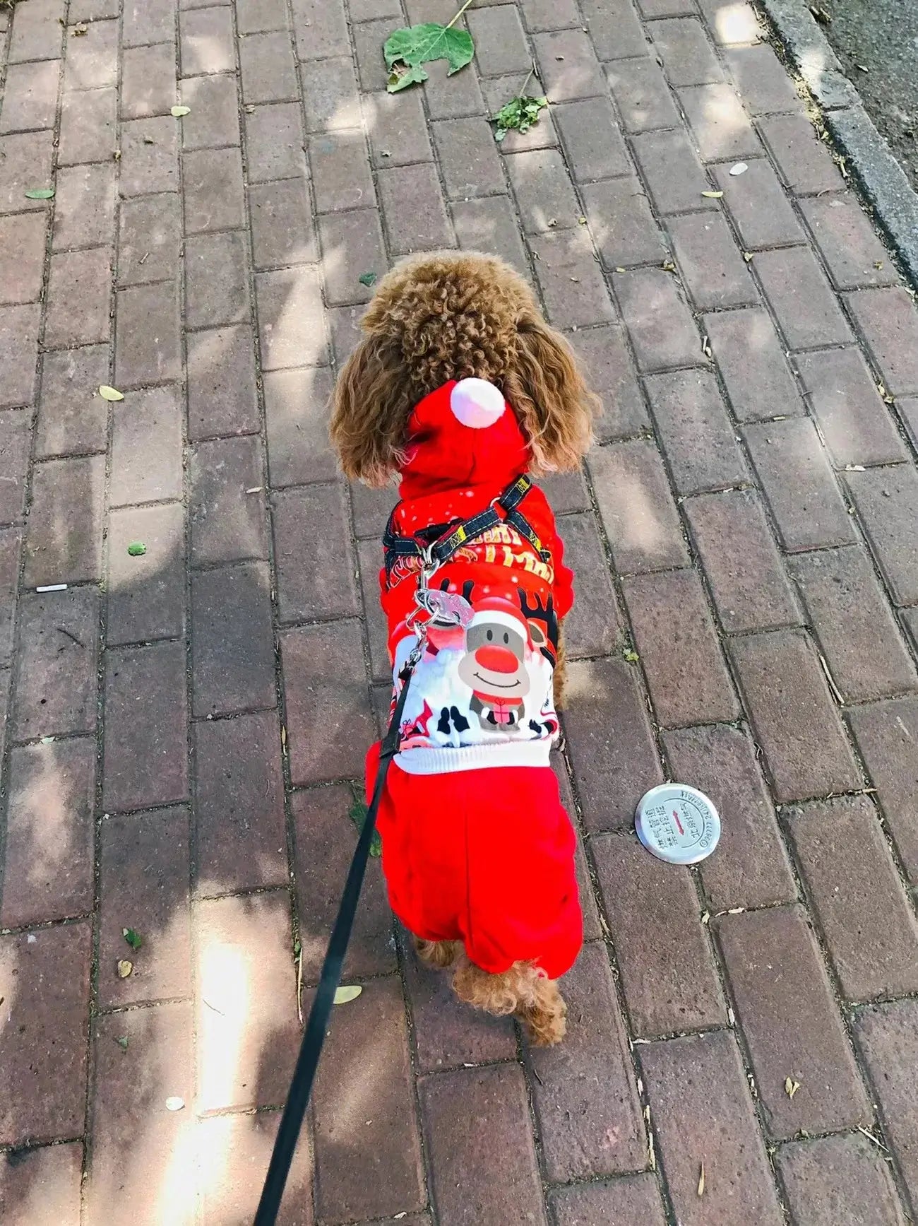 Christmas Dog Coat Sweater - Premium from HappyDogs.Company - Just $33.99! Shop now at HappyDogs.Company