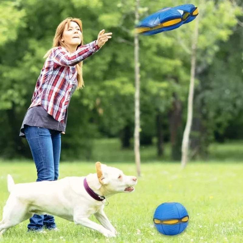 Flying Saucer Ball UFO Magic Ball Fun Pet Playtime - Premium from HappyDogs.Company - Just $21.99! Shop now at HappyDogs.Company