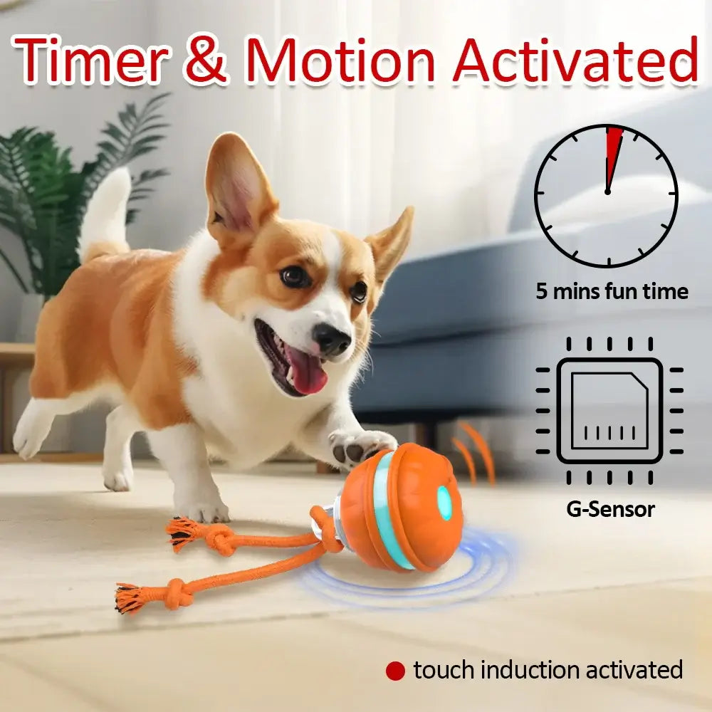 Smart Interactive Dog Toy Ball Motion Activated Automatic - Premium from HappyDogs.Company - Just $44.99! Shop now at HappyDogs.Company