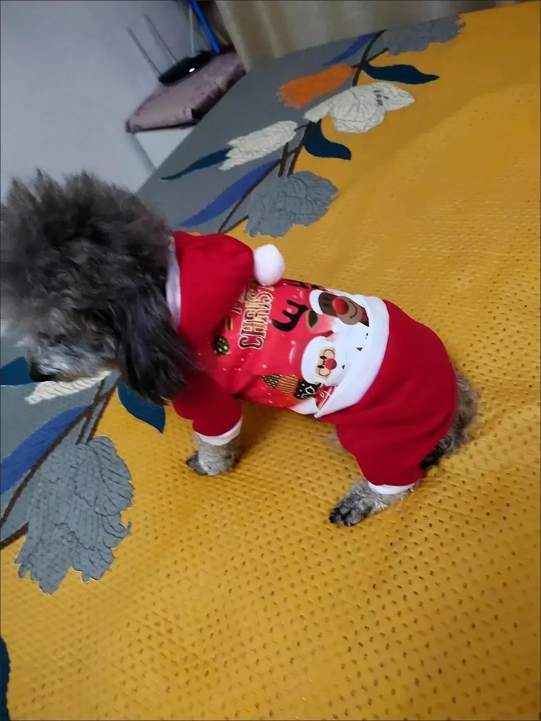Christmas Dog Coat Sweater - Premium from HappyDogs.Company - Just $33.99! Shop now at HappyDogs.Company