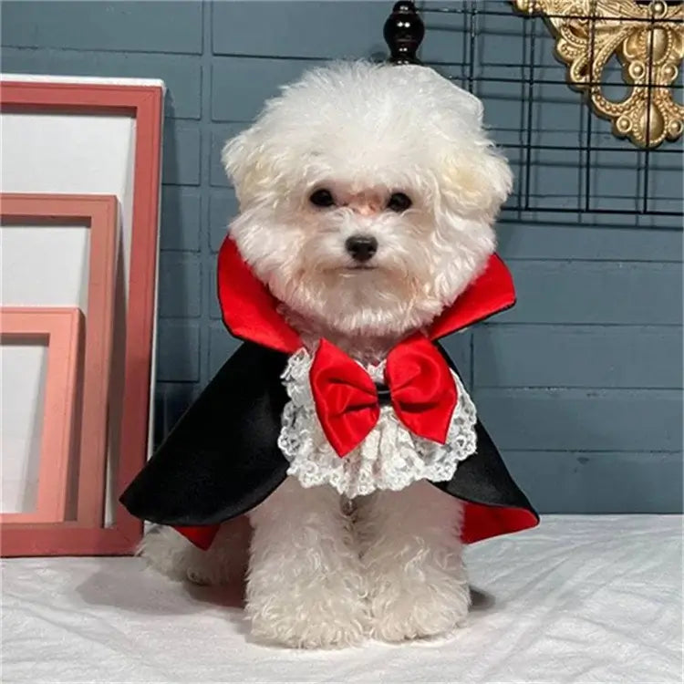 Halloween Cute Vampire Pet Clothes - Premium from HappyDogs.Company - Just $30.99! Shop now at HappyDogs.Company