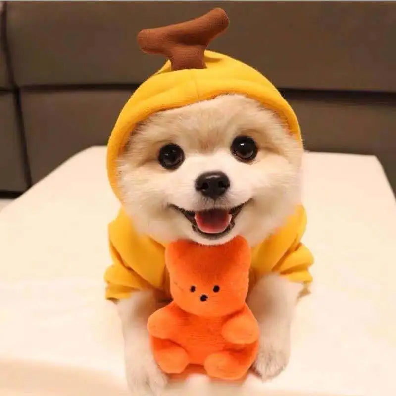 Cute Hoodie Elk Teddy Bear Design - Premium from HappyDogs.Company - Just $35! Shop now at HappyDogs.Company