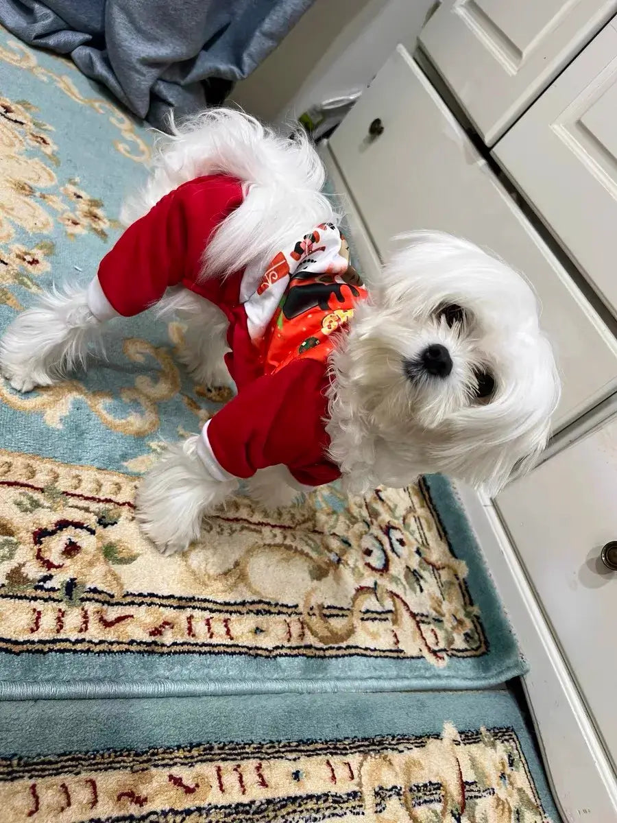 Christmas Dog Coat Sweater - Premium from HappyDogs.Company - Just $33.99! Shop now at HappyDogs.Company