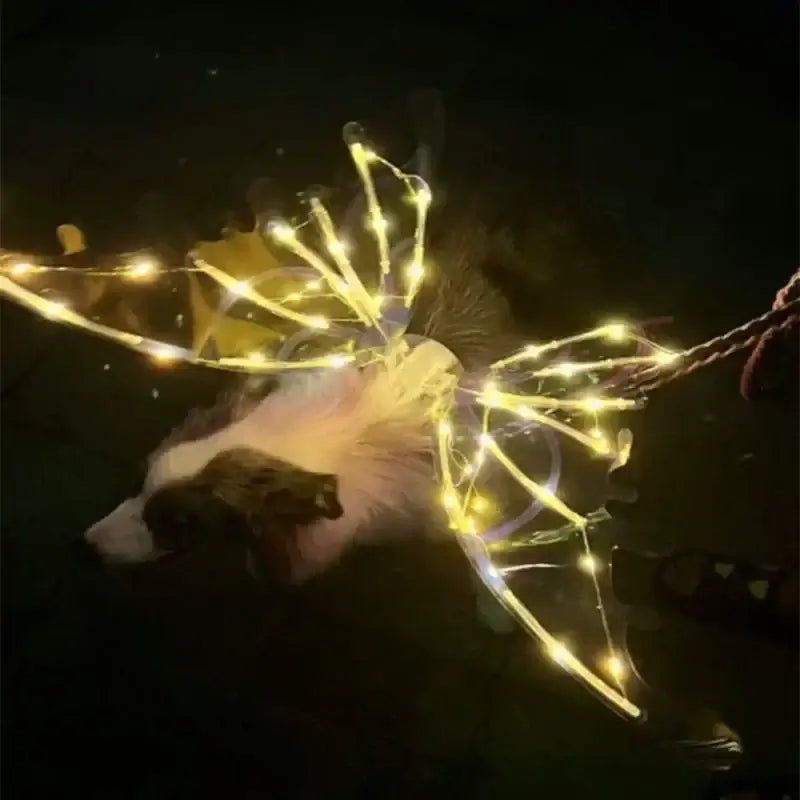 Dog Butterfly Wings Pet Glowing Wings Puppy Summer Clothes Decorative Samoyed Husky Medium Dogs - Premium from HappyDogs.Company - Just $38! Shop now at HappyDogs.Company