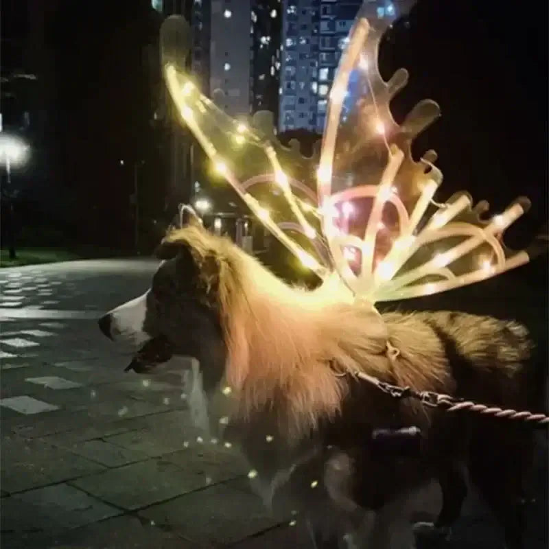 Dog Butterfly Wings Pet Glowing Wings Puppy Summer Clothes Decorative Samoyed Husky Medium Dogs - Premium from HappyDogs.Company - Just $38! Shop now at HappyDogs.Company