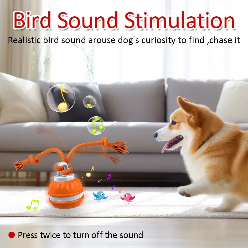 Smart Interactive Dog Toy Ball Motion Activated Automatic - Premium from HappyDogs.Company - Just $44.99! Shop now at HappyDogs.Company