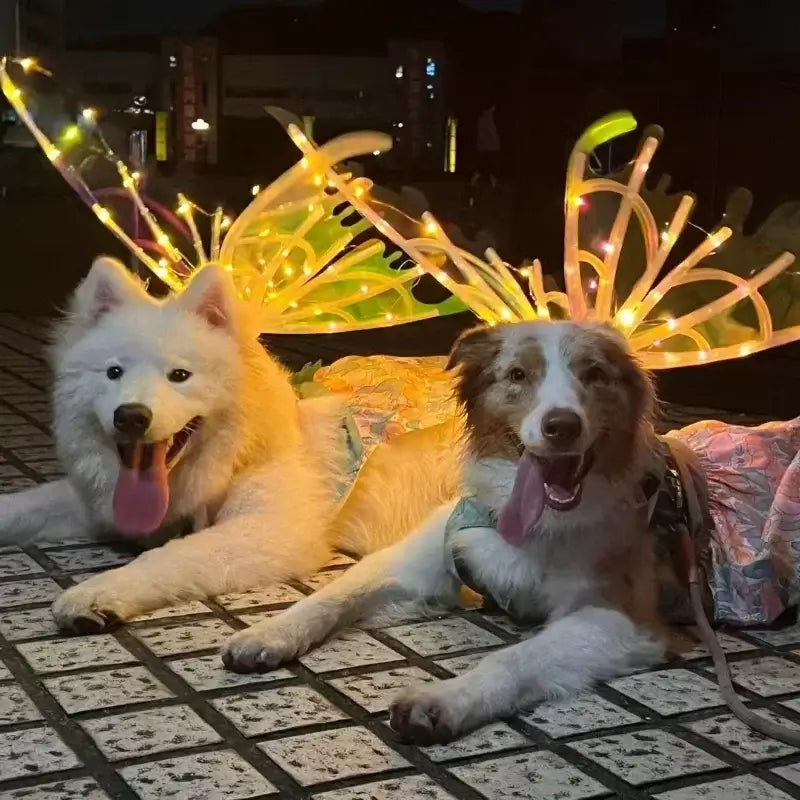 Dog Butterfly Wings Pet Glowing Wings Puppy Summer Clothes Decorative Samoyed Husky Medium Dogs - Premium from HappyDogs.Company - Just $38! Shop now at HappyDogs.Company