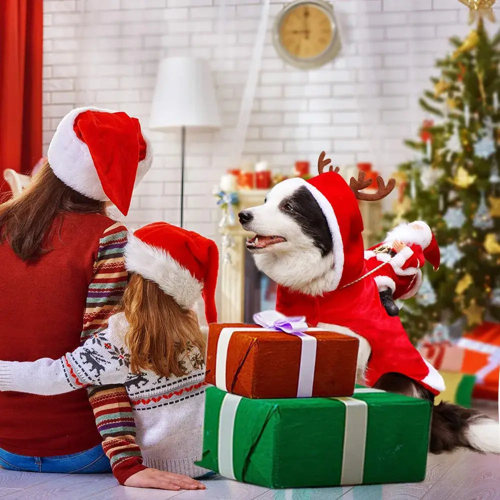 Funny Santa Claus Costume For Dogs - Premium from HappyDogs.Company - Just $22.99! Shop now at HappyDogs.Company