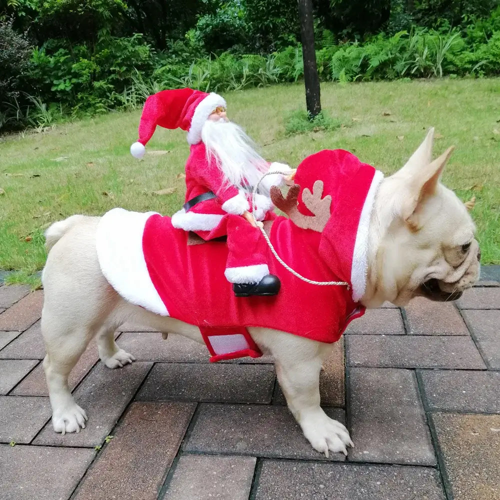 Funny Santa Claus Costume For Dogs - Premium from HappyDogs.Company - Just $22.99! Shop now at HappyDogs.Company