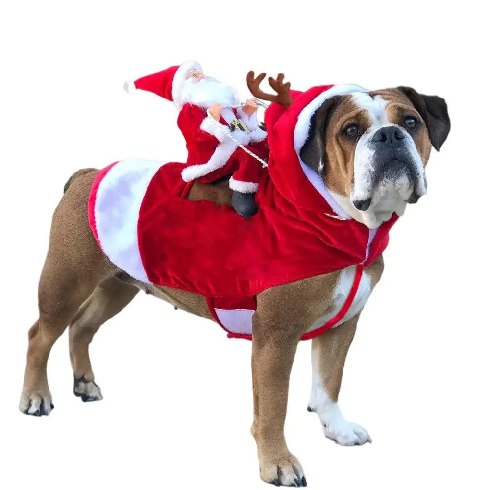 Funny Santa Claus Costume For Dogs - Premium from HappyDogs.Company - Just $22.99! Shop now at HappyDogs.Company