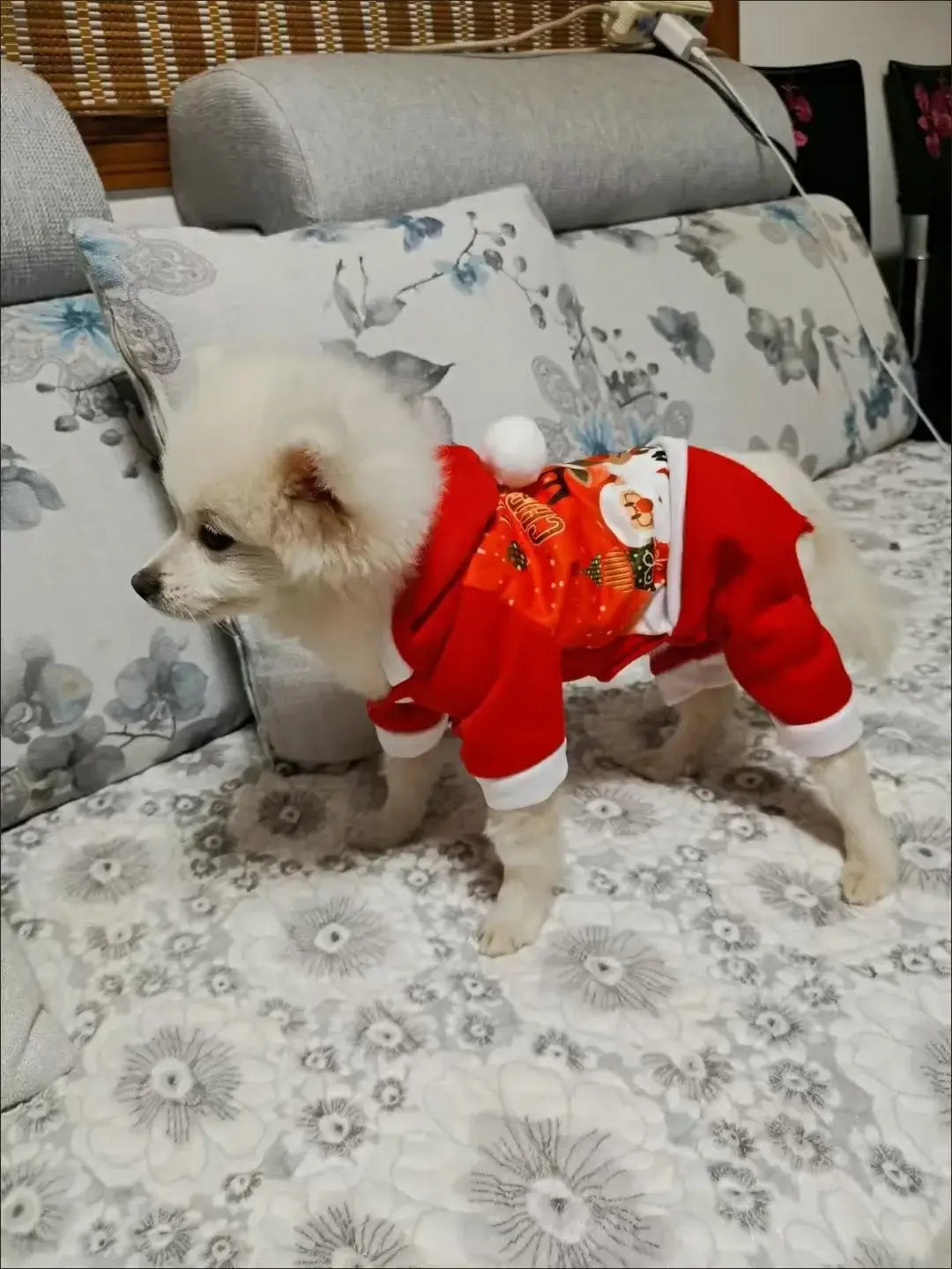 Christmas Dog Coat Sweater - Premium from HappyDogs.Company - Just $33.99! Shop now at HappyDogs.Company