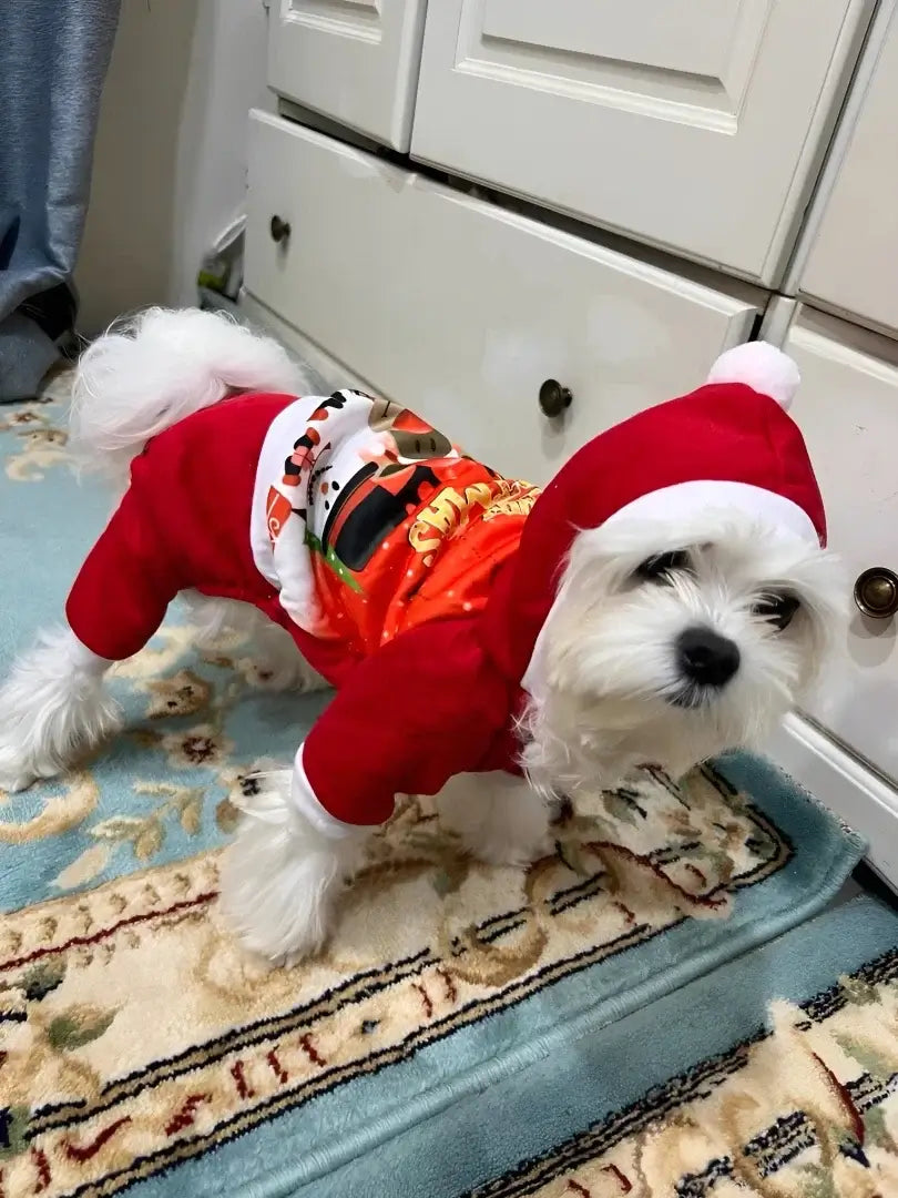 Christmas Dog Coat Sweater - Premium from HappyDogs.Company - Just $33.99! Shop now at HappyDogs.Company