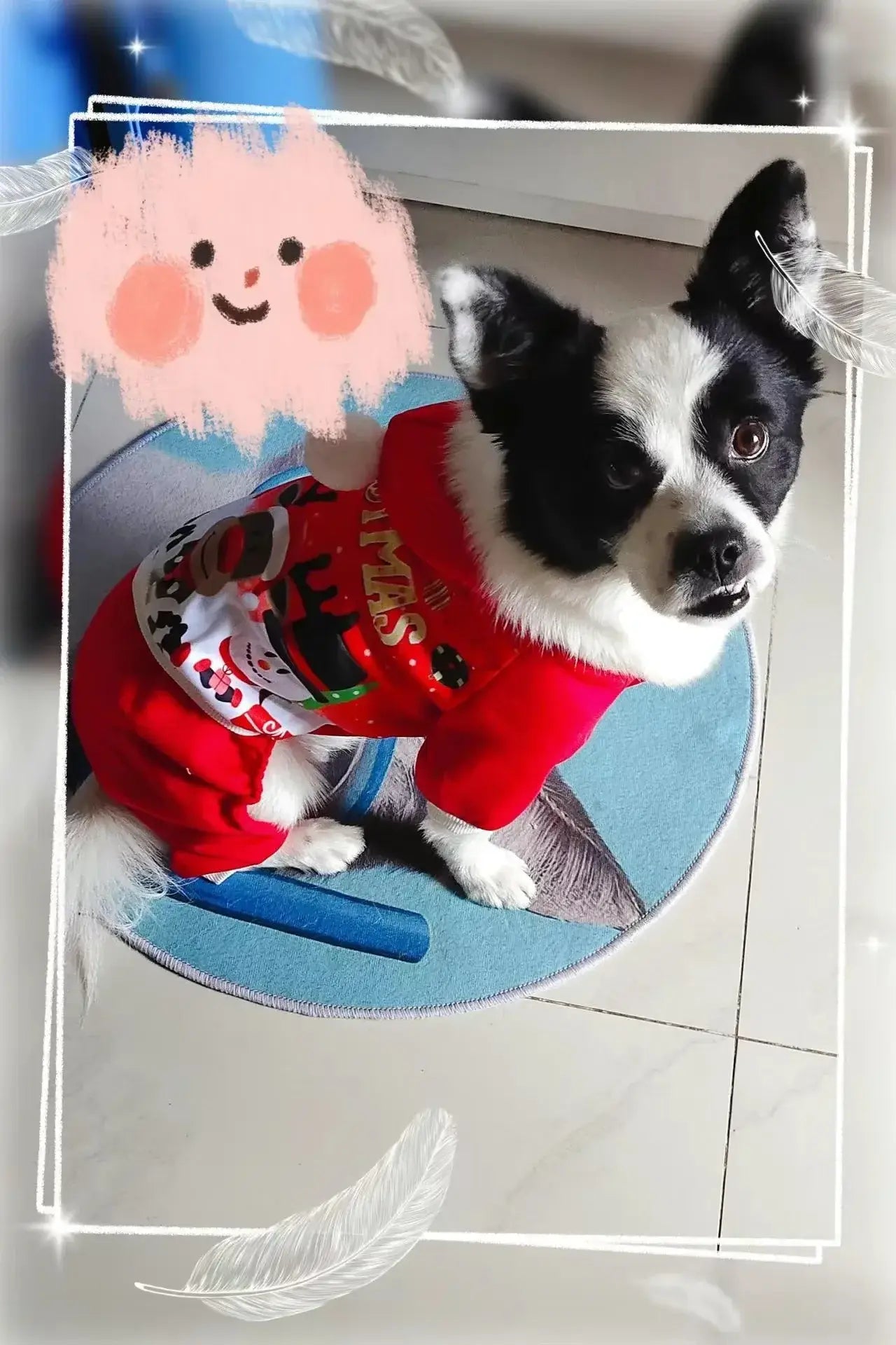 Christmas Dog Coat Sweater - Premium from HappyDogs.Company - Just $33.99! Shop now at HappyDogs.Company