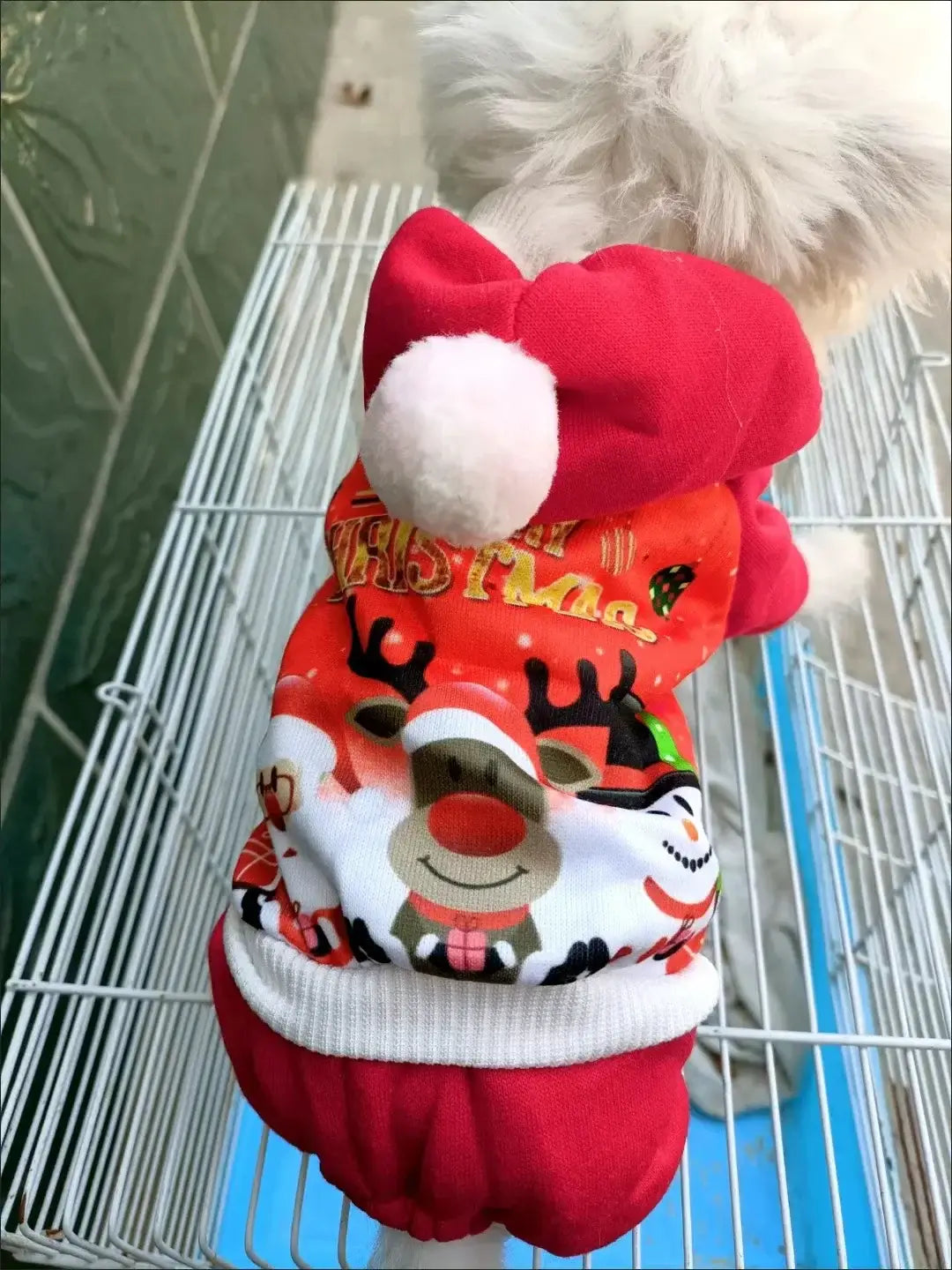 Christmas Dog Coat Sweater - Premium from HappyDogs.Company - Just $33.99! Shop now at HappyDogs.Company