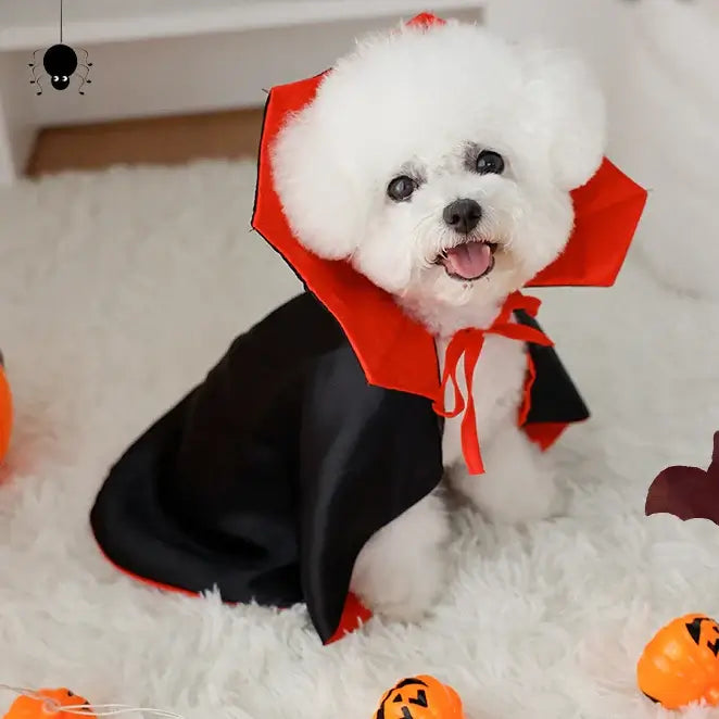 Halloween Cute Vampire Pet Clothes - Premium from HappyDogs.Company - Just $30.99! Shop now at HappyDogs.Company