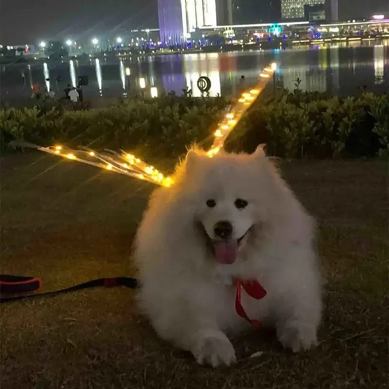 Dog Butterfly Wings Pet Glowing Wings Puppy Summer Clothes Decorative Samoyed Husky Medium Dogs - Premium from HappyDogs.Company - Just $38! Shop now at HappyDogs.Company