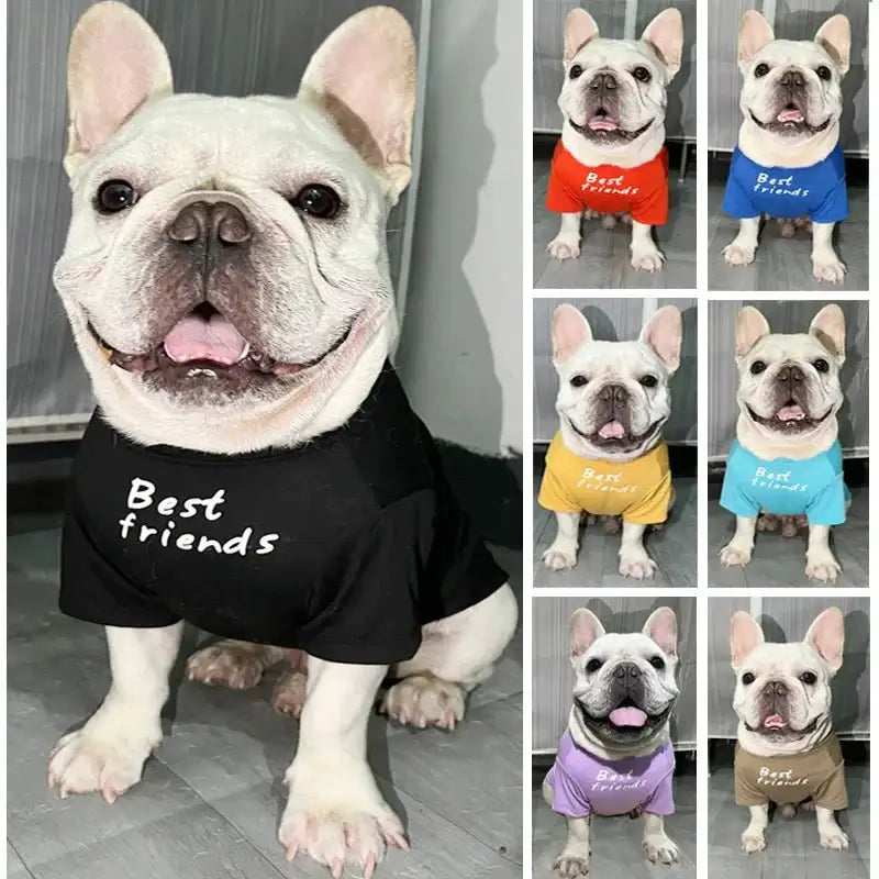 Best Friends French Bulldog T-shirt - Premium from HappyDogs.Company - Just $31.99! Shop now at HappyDogs.Company