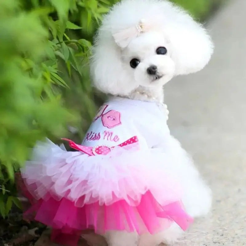 Dog and Cat Tutu Dress - Premium from HappyDogs.Company - Just $16.99! Shop now at HappyDogs.Company