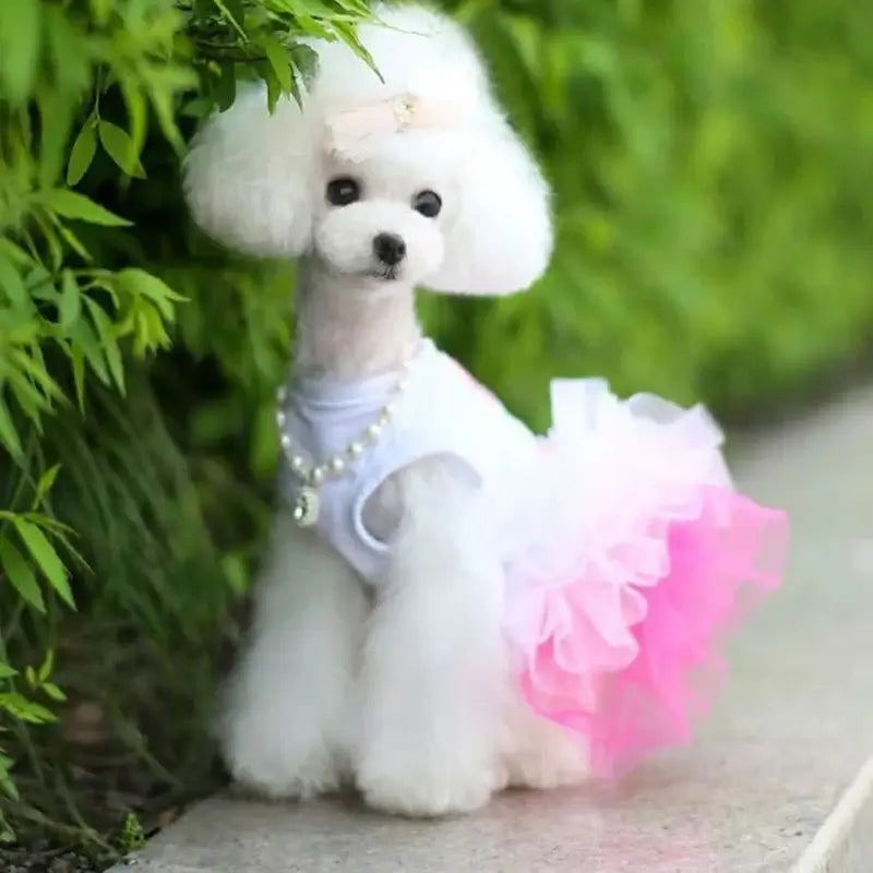Dog and Cat Tutu Dress - Premium from HappyDogs.Company - Just $16.99! Shop now at HappyDogs.Company