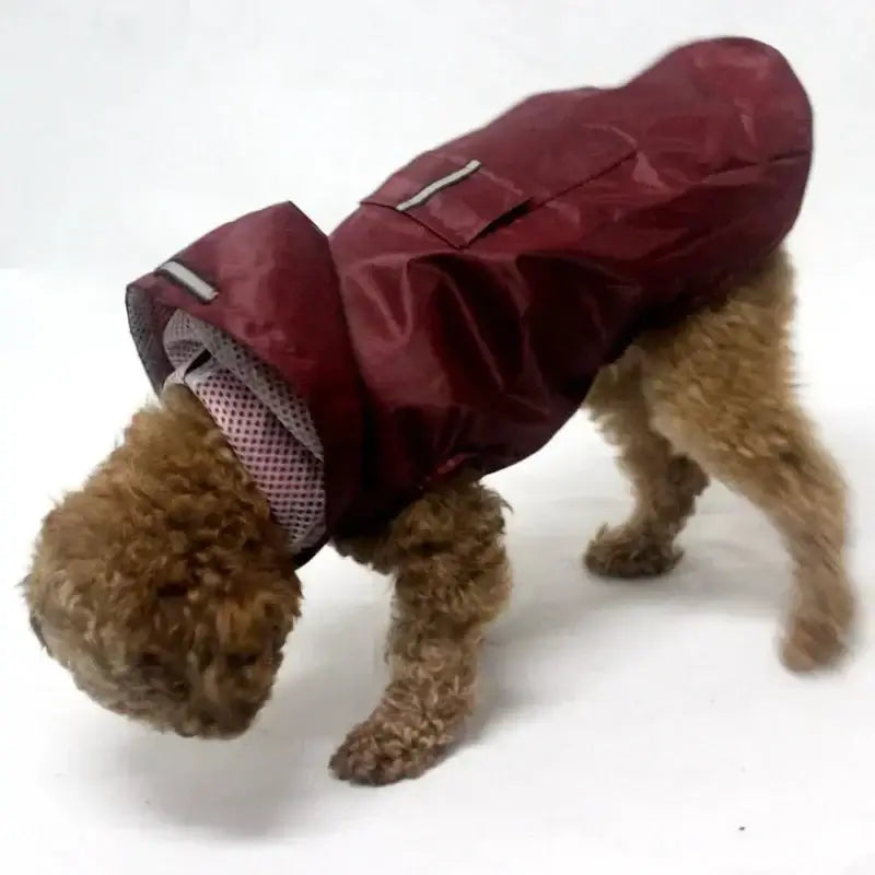 Dog Raincoat - Premium from HappyDogs.Company - Just $21.99! Shop now at HappyDogs.Company