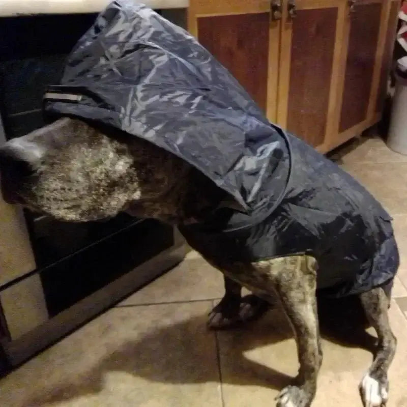 Dog Raincoat - Premium from HappyDogs.Company - Just $21.99! Shop now at HappyDogs.Company
