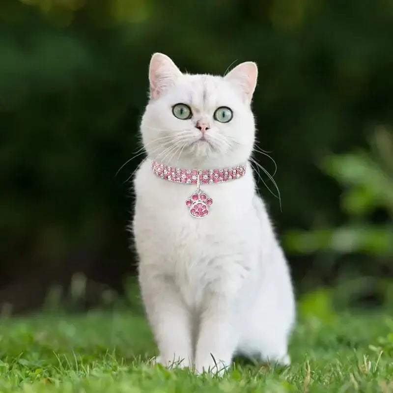Flashing Rhinestone Paw Pendant Necklace - Premium from HappyDogs.Company - Just $23.99! Shop now at HappyDogs.Company