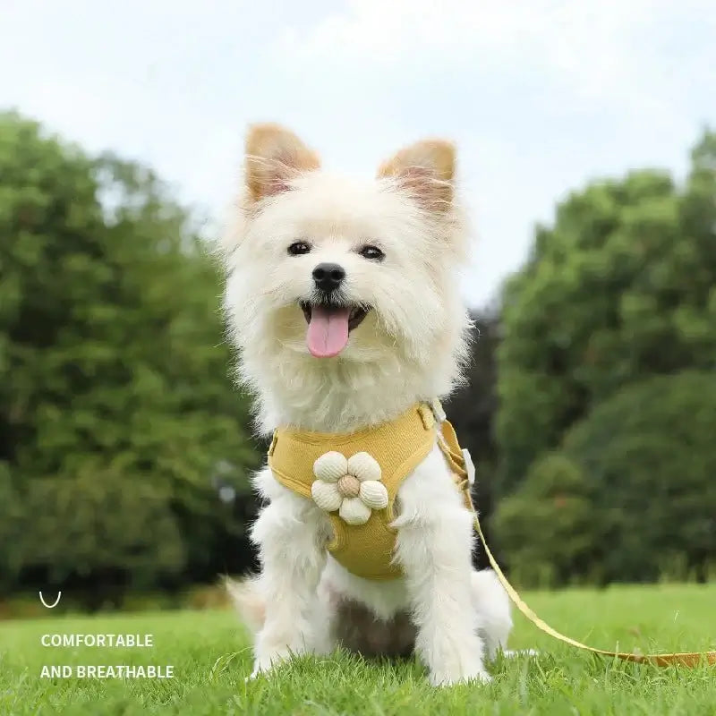 Flower Harness with 1.2m Leash Set - Premium from HappyDogs.Company - Just $20.99! Shop now at HappyDogs.Company