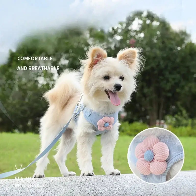 Flower Harness with 1.2m Leash Set - Premium from HappyDogs.Company - Just $20.99! Shop now at HappyDogs.Company