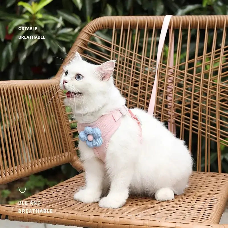 Flower Harness with 1.2m Leash Set - Premium from HappyDogs.Company - Just $20.99! Shop now at HappyDogs.Company