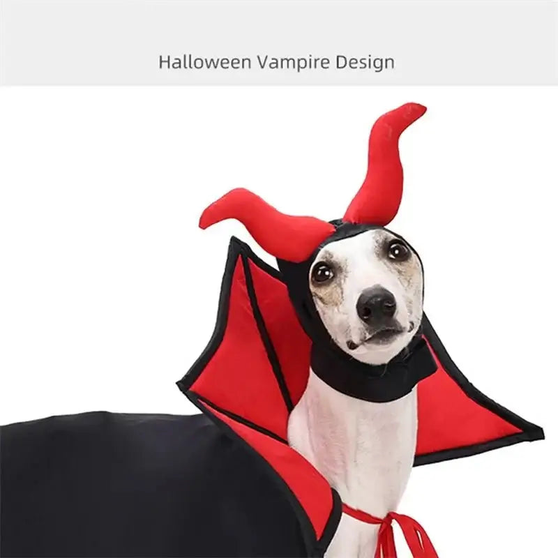 Funny Cape and Vampire Hat - Premium from HappyDogs.Company - Just $24.99! Shop now at HappyDogs.Company