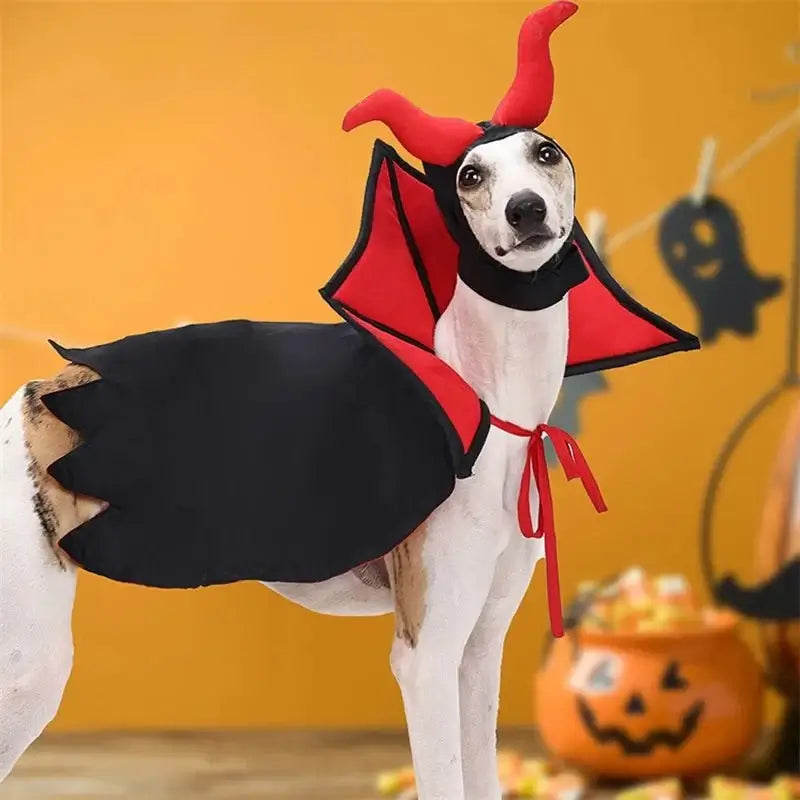 Funny Cape and Vampire Hat - Premium from HappyDogs.Company - Just $24.99! Shop now at HappyDogs.Company