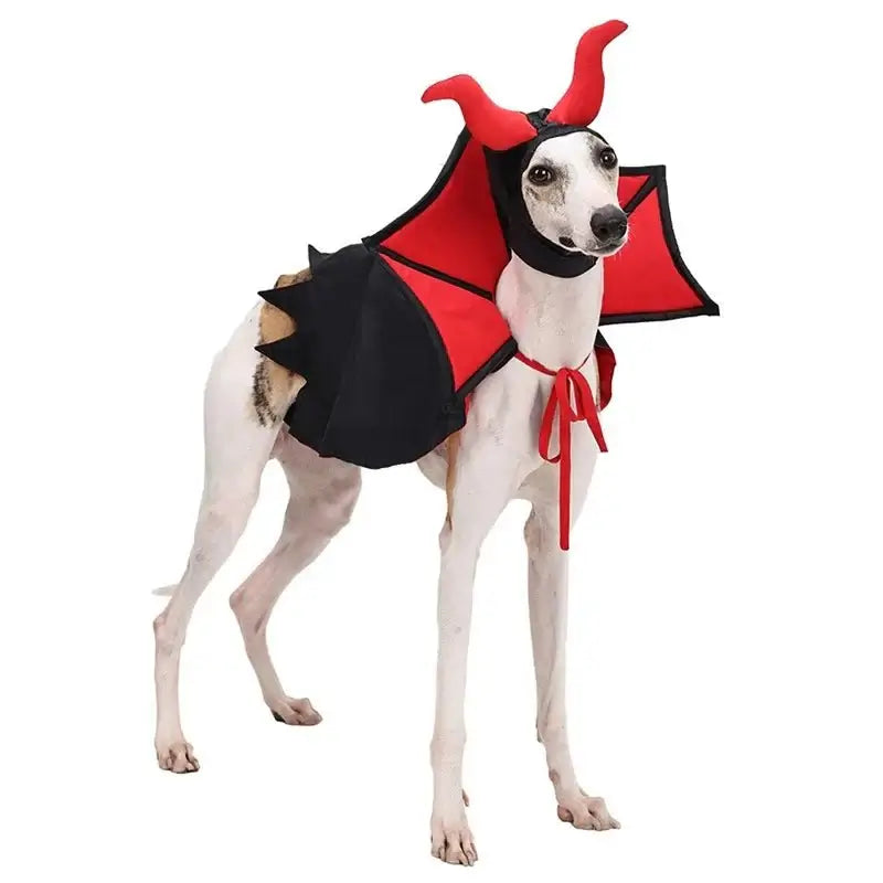 Funny Cape and Vampire Hat - Premium from HappyDogs.Company - Just $24.99! Shop now at HappyDogs.Company