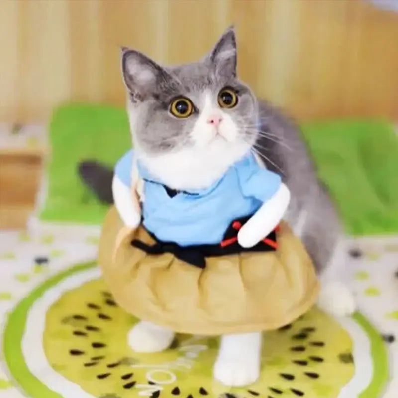 Halloween Funny Cat and Dog Clothes - Premium from HappyDogs.Company - Just $22.99! Shop now at HappyDogs.Company