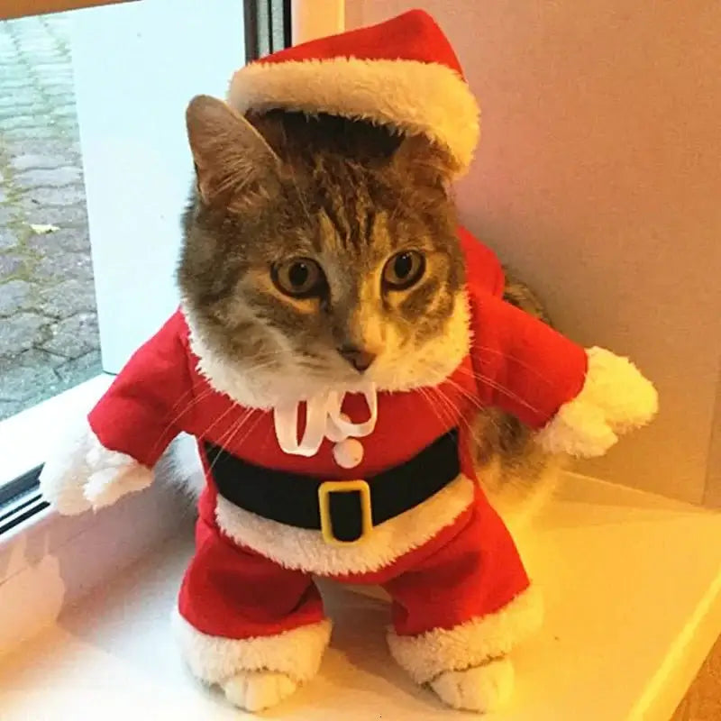 Halloween Funny Cat and Dog Clothes - Premium from HappyDogs.Company - Just $22.99! Shop now at HappyDogs.Company