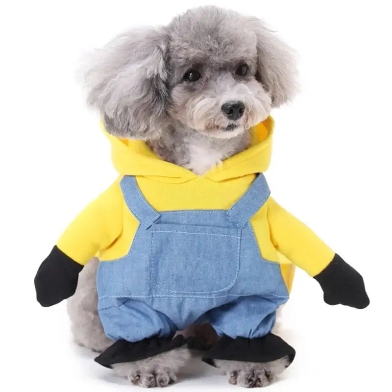 Halloween Funny Cat and Dog Clothes - Premium from HappyDogs.Company - Just $22.99! Shop now at HappyDogs.Company