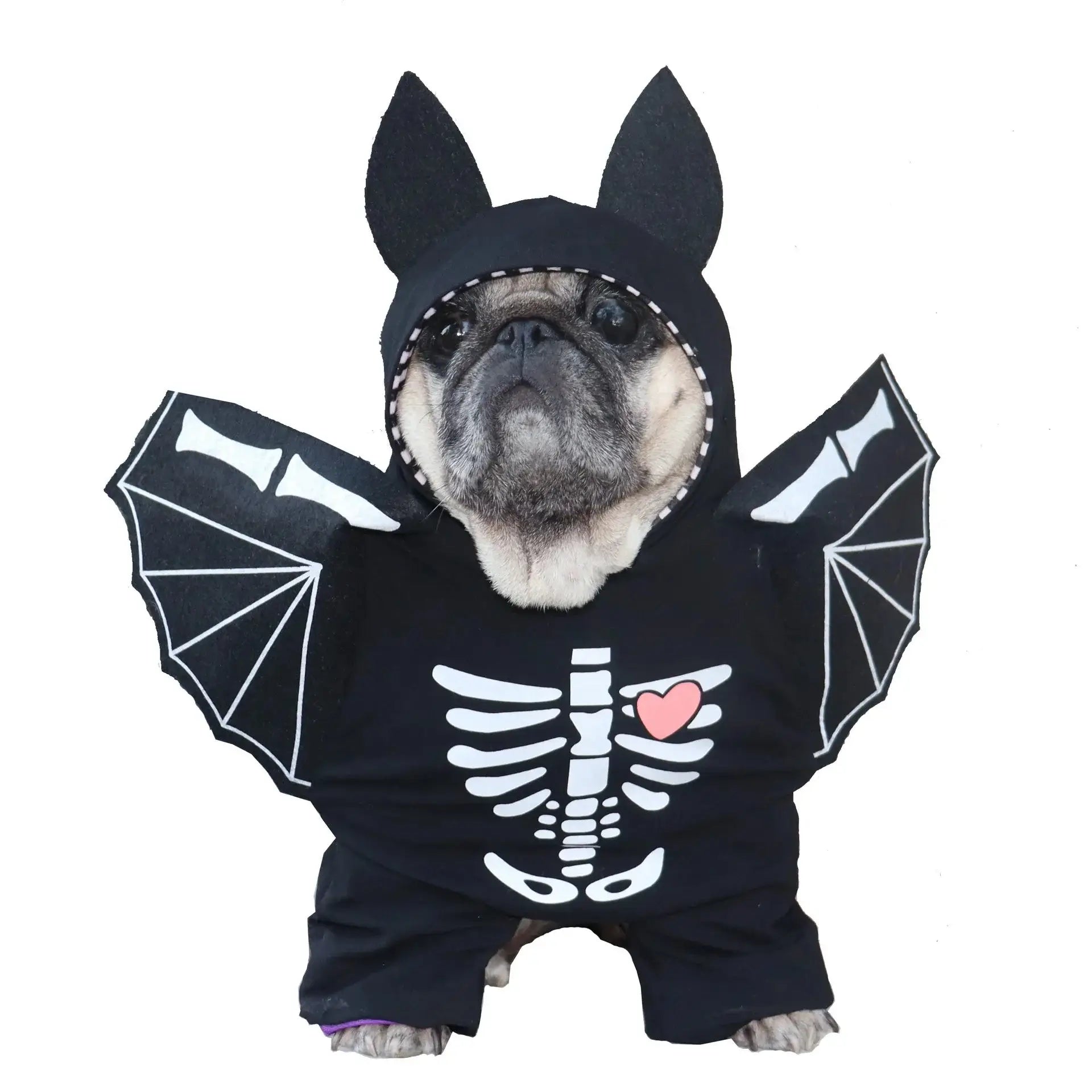 Halloween Funny Cat and Dog Clothes - Premium from HappyDogs.Company - Just $22.99! Shop now at HappyDogs.Company