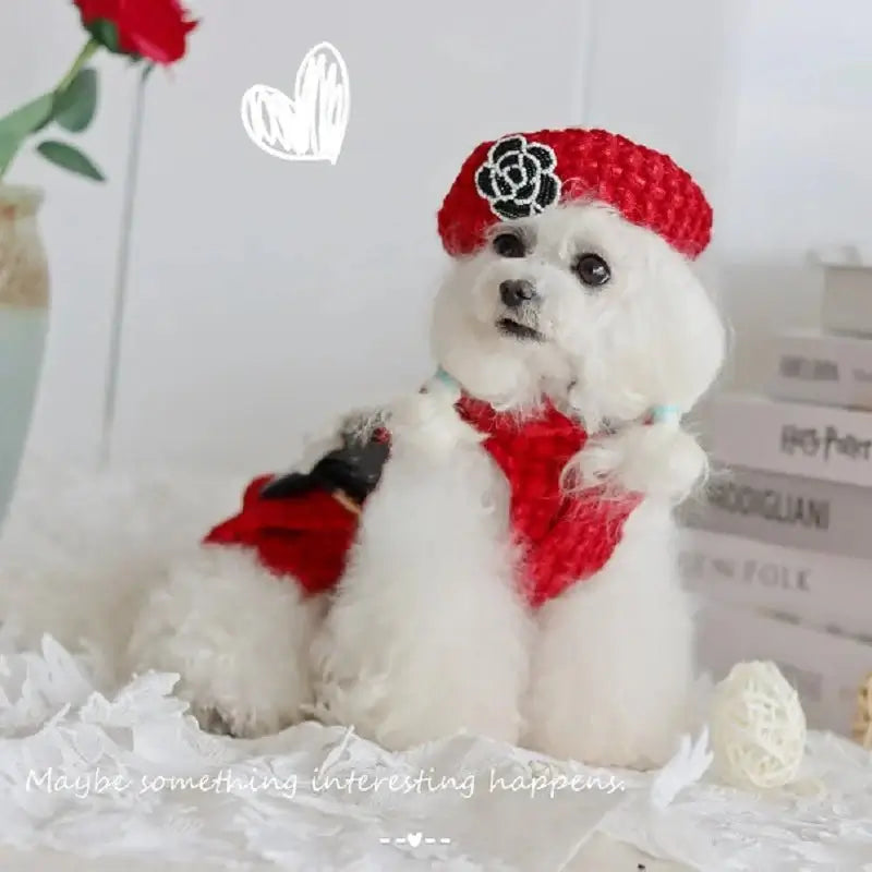 Handmade Winter Dog Coat Jacket - Premium from HappyDogs.Company - Just $32.99! Shop now at HappyDogs.Company
