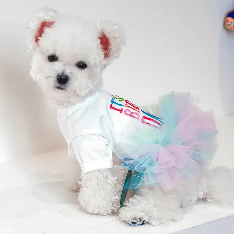 Its My BirthDay Pet Dress - Premium from HappyDogs.Company - Just $32.99! Shop now at HappyDogs.Company