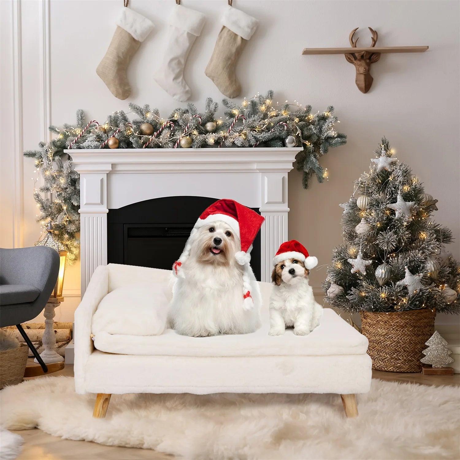Nordic Pet Stool Bed with Cozy Pad - Premium from HappyDogs.Company - Just $89.99! Shop now at HappyDogs.Company