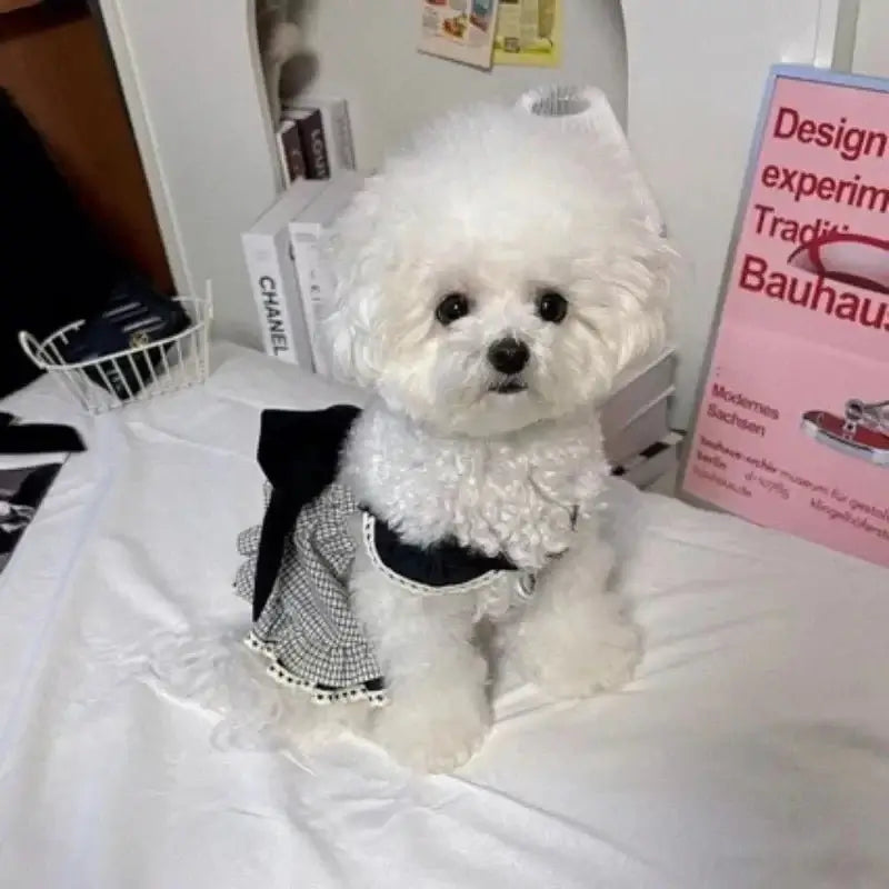Pet Princess Dress for Summer - Premium from HappyDogs.Company - Just $23.99! Shop now at HappyDogs.Company