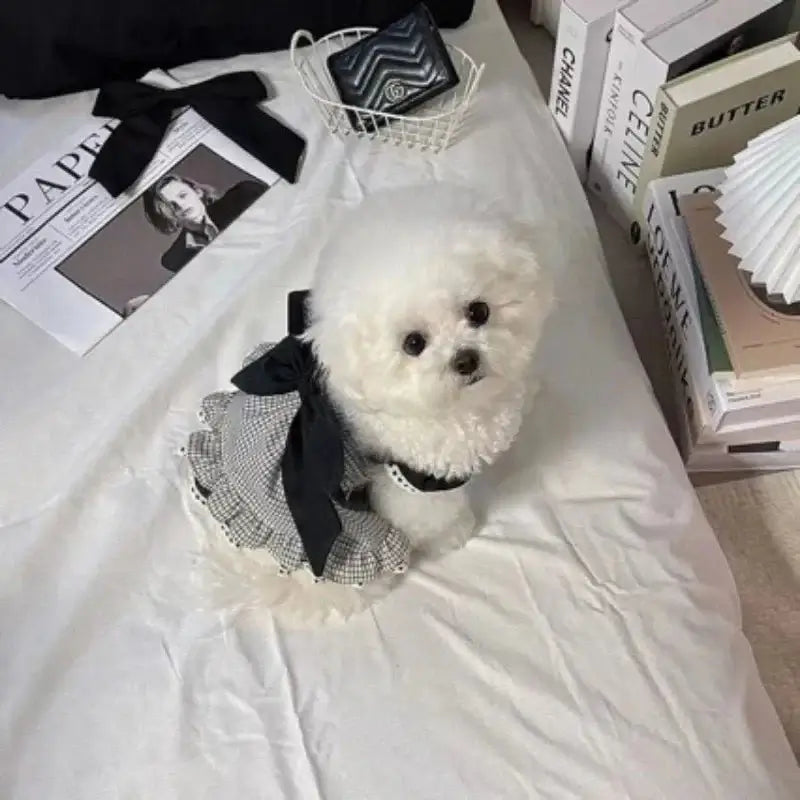 Pet Princess Dress for Summer - Premium from HappyDogs.Company - Just $23.99! Shop now at HappyDogs.Company