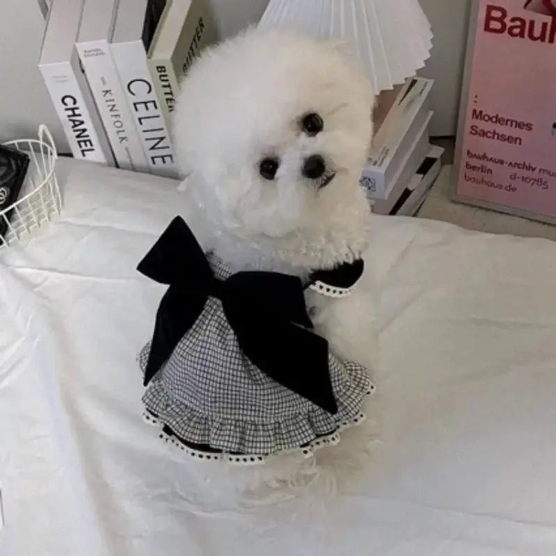 Pet Princess Dress for Summer - Premium from HappyDogs.Company - Just $23.99! Shop now at HappyDogs.Company