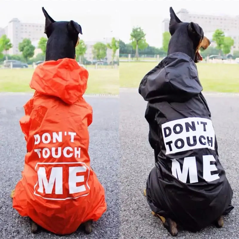 Raincoat For Dog And Human - Premium from HappyDogs.Company - Just $43.99! Shop now at HappyDogs.Company