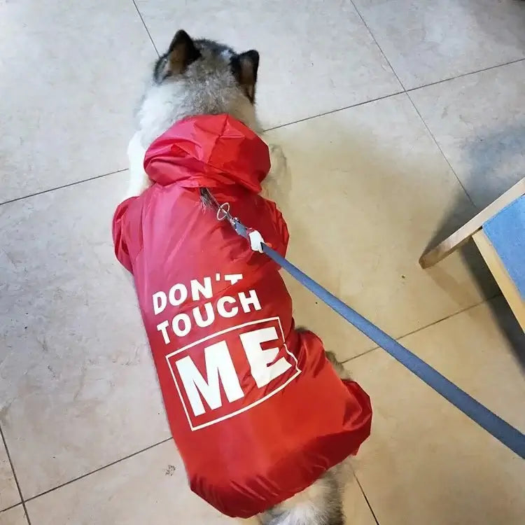 Raincoat For Dog And Human - Premium from HappyDogs.Company - Just $43.99! Shop now at HappyDogs.Company