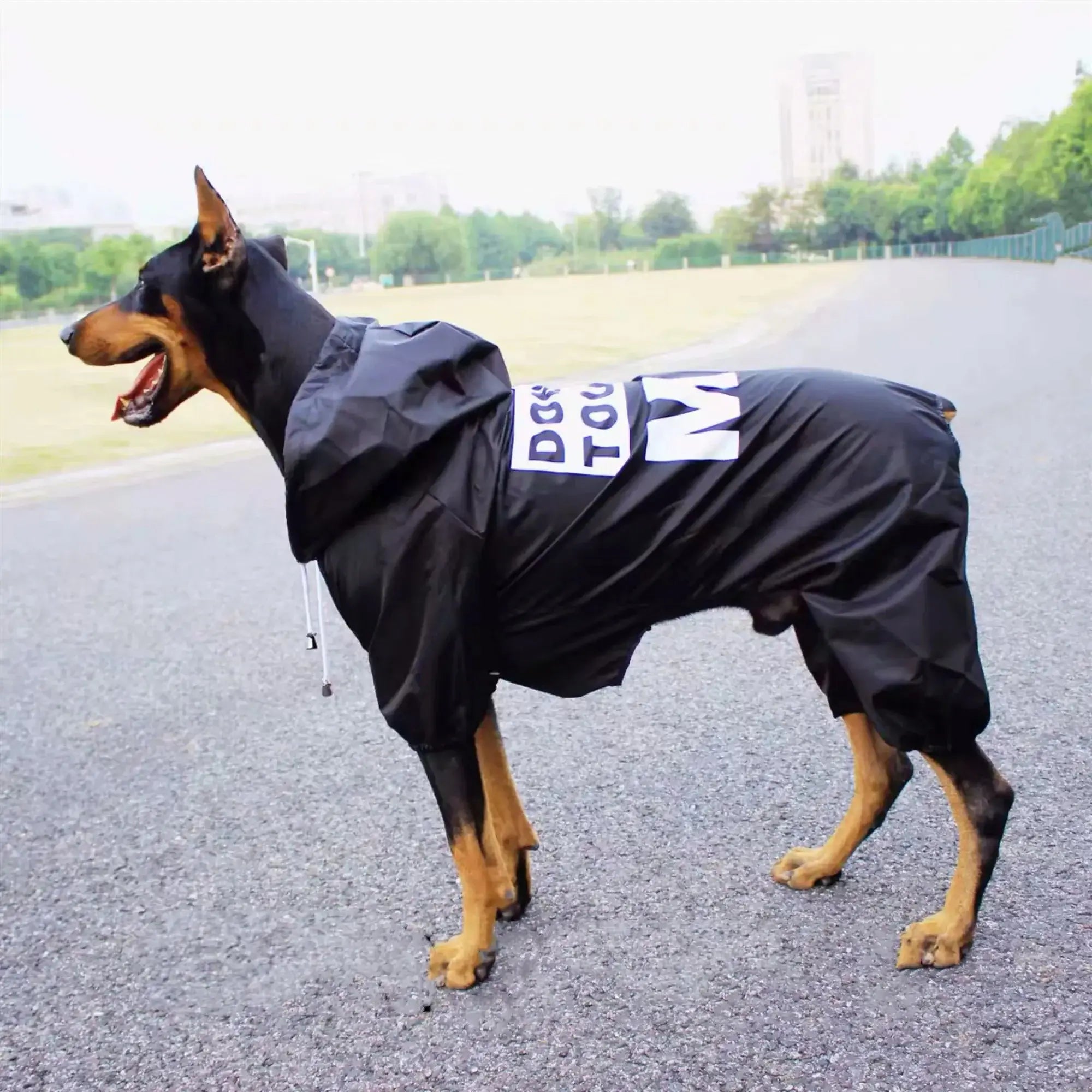 Raincoat For Dog And Human - Premium from HappyDogs.Company - Just $43.99! Shop now at HappyDogs.Company