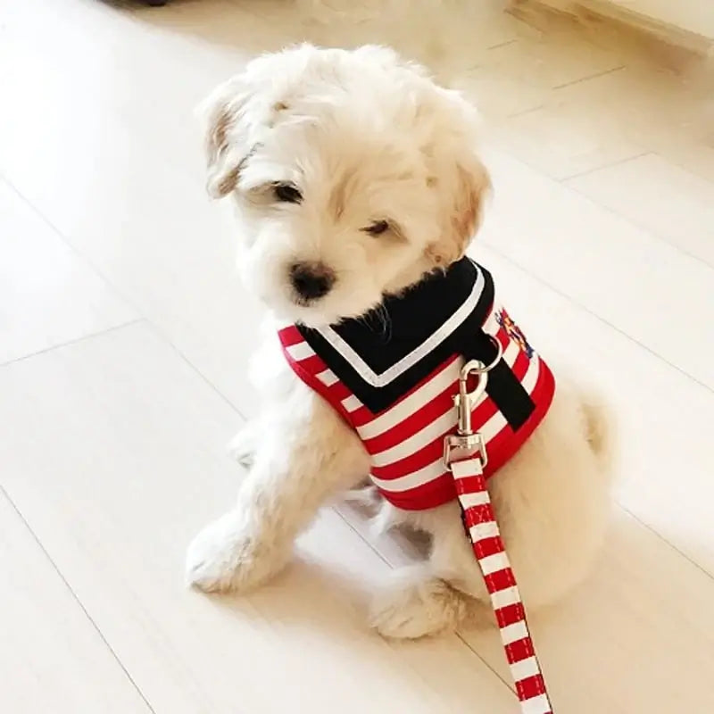 Soft Navy Style Leash Set For Small Dogs - Premium from HappyDogs.Company - Just $12.99! Shop now at HappyDogs.Company